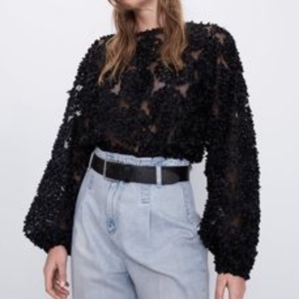 Zara Black Textured Sheer Long-Sleeve Top